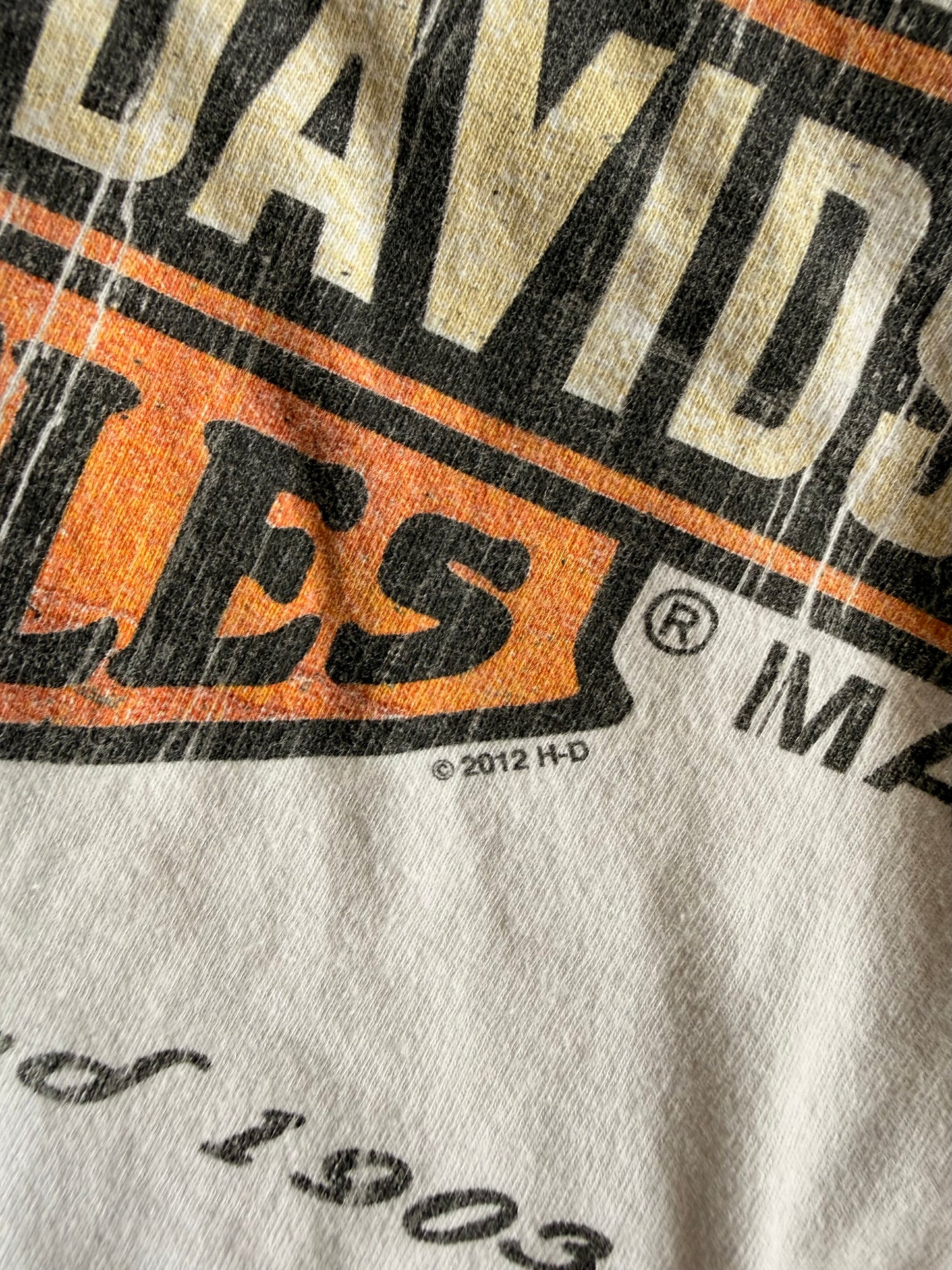 Y2K Harley Davidson NYC - 2XL