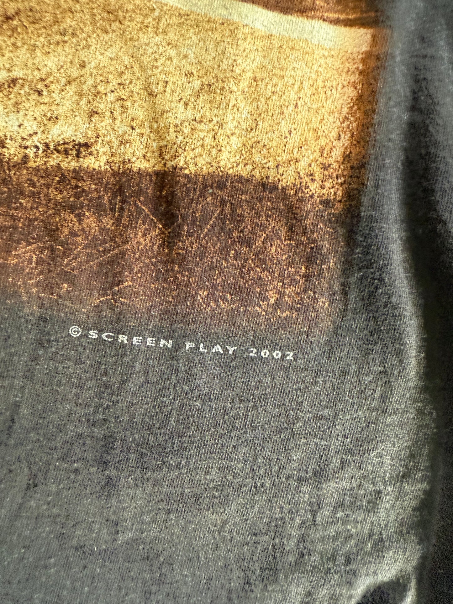 Vintage Hank Williams Jr. '02 Tour Shirt - XL